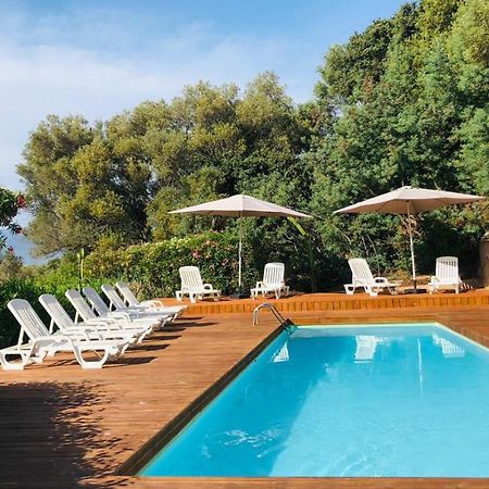 Camping Monte Ortu By Corsica Paradise Hotel Lumio  Zewnętrze zdjęcie