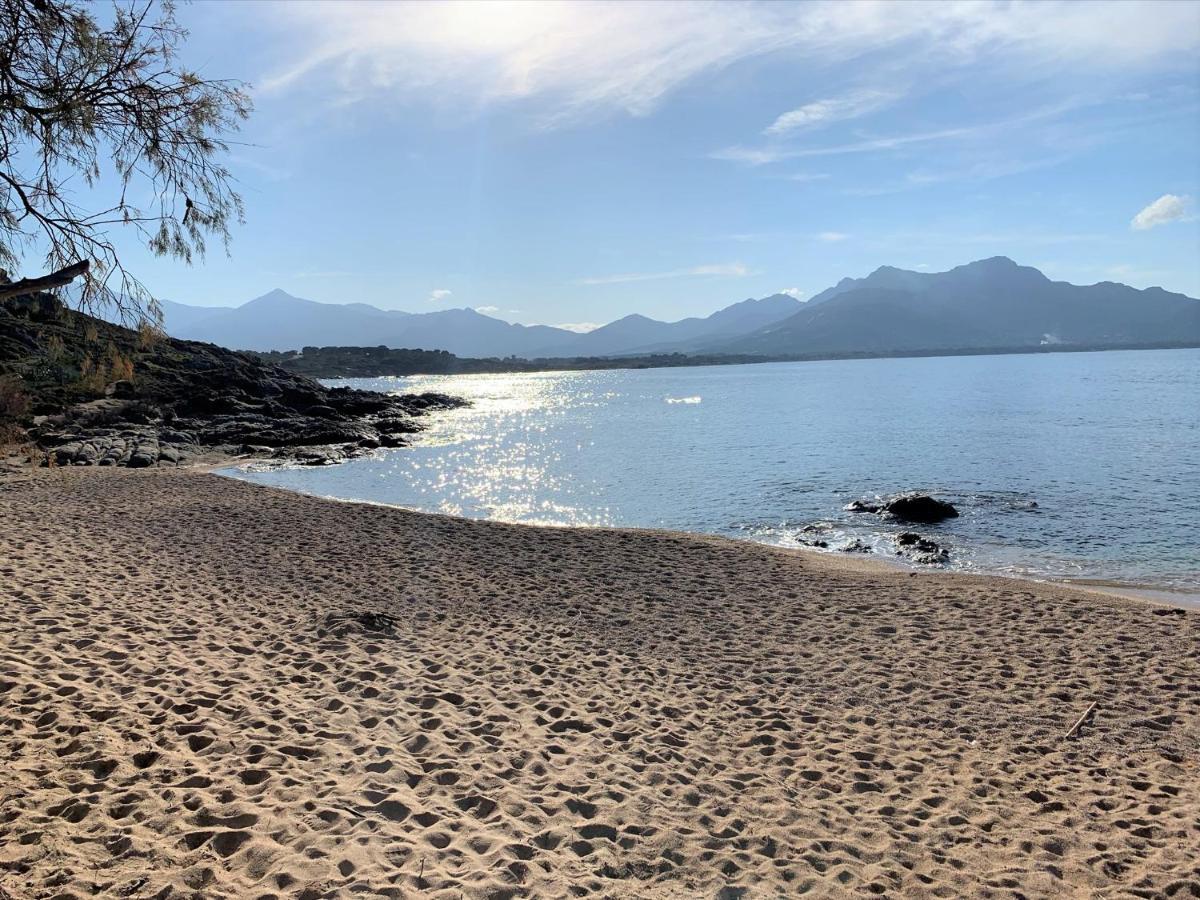 Camping Monte Ortu By Corsica Paradise Hotel Lumio  Zewnętrze zdjęcie